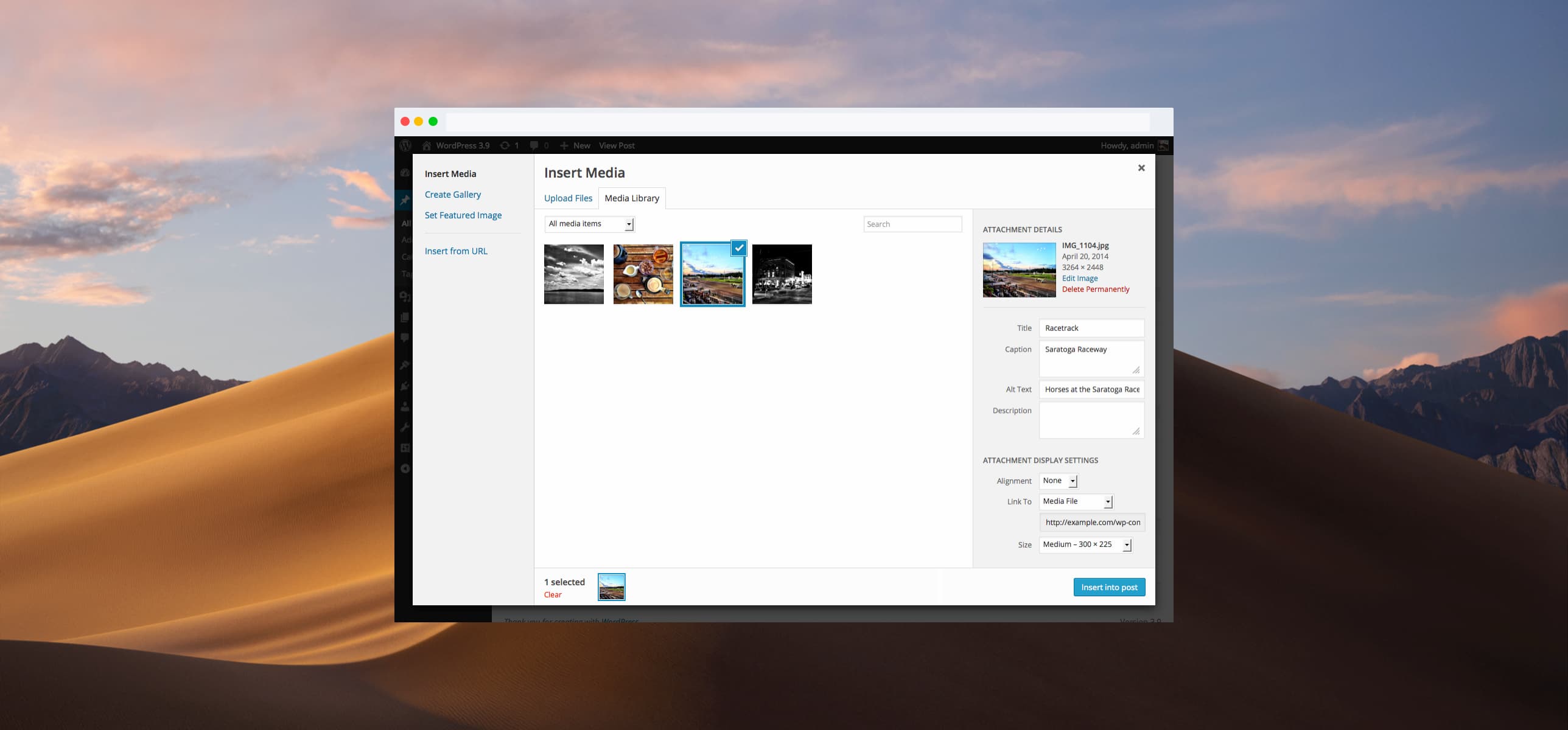 Screenshot of Wordpress admin interface showing media gallery